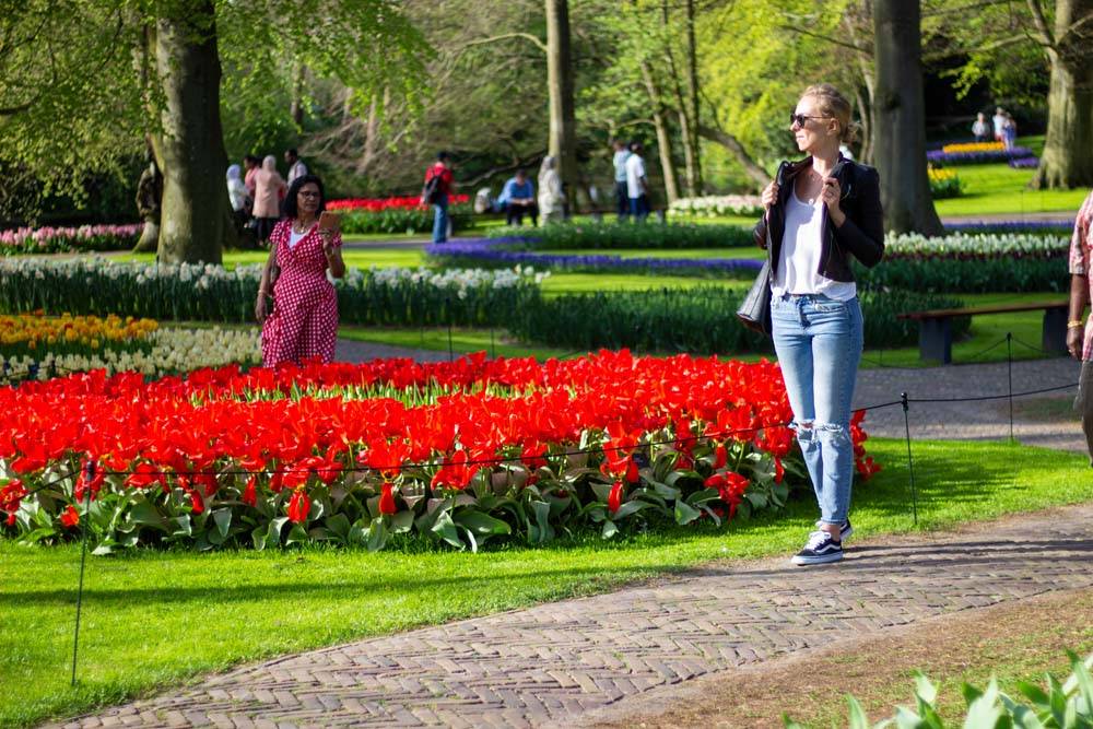 keukenhof holandia niderlandy ogrody kwiatowe Keukenhof