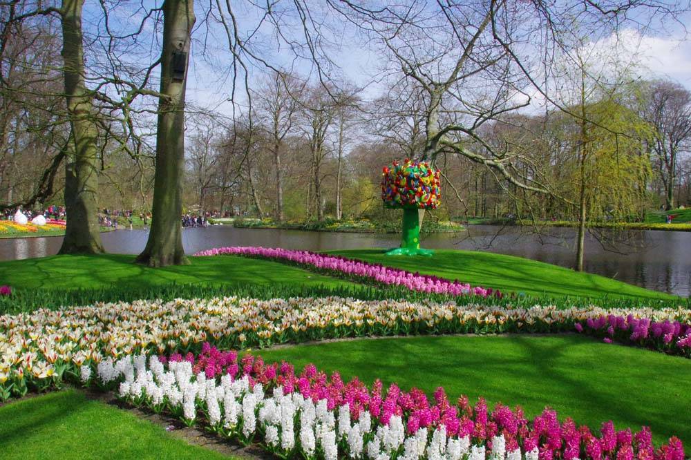 Miejsca które warto zobaczyć w Holandii Keukenhof park kwiatów