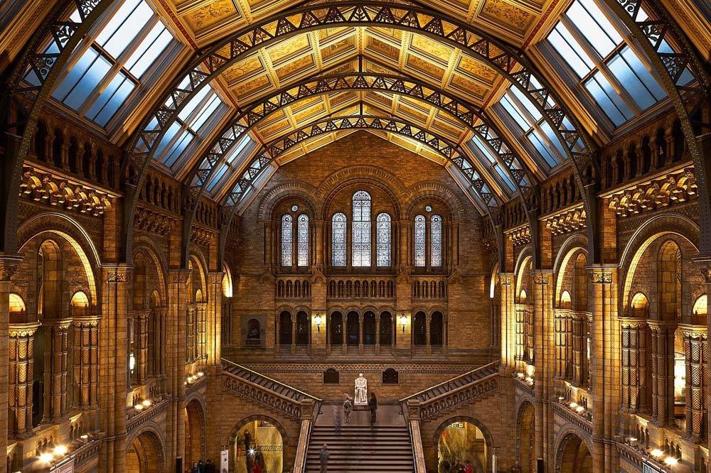 muzeum historii naturalnej w londynie atrakcje Londyn co warto zobaczyć
