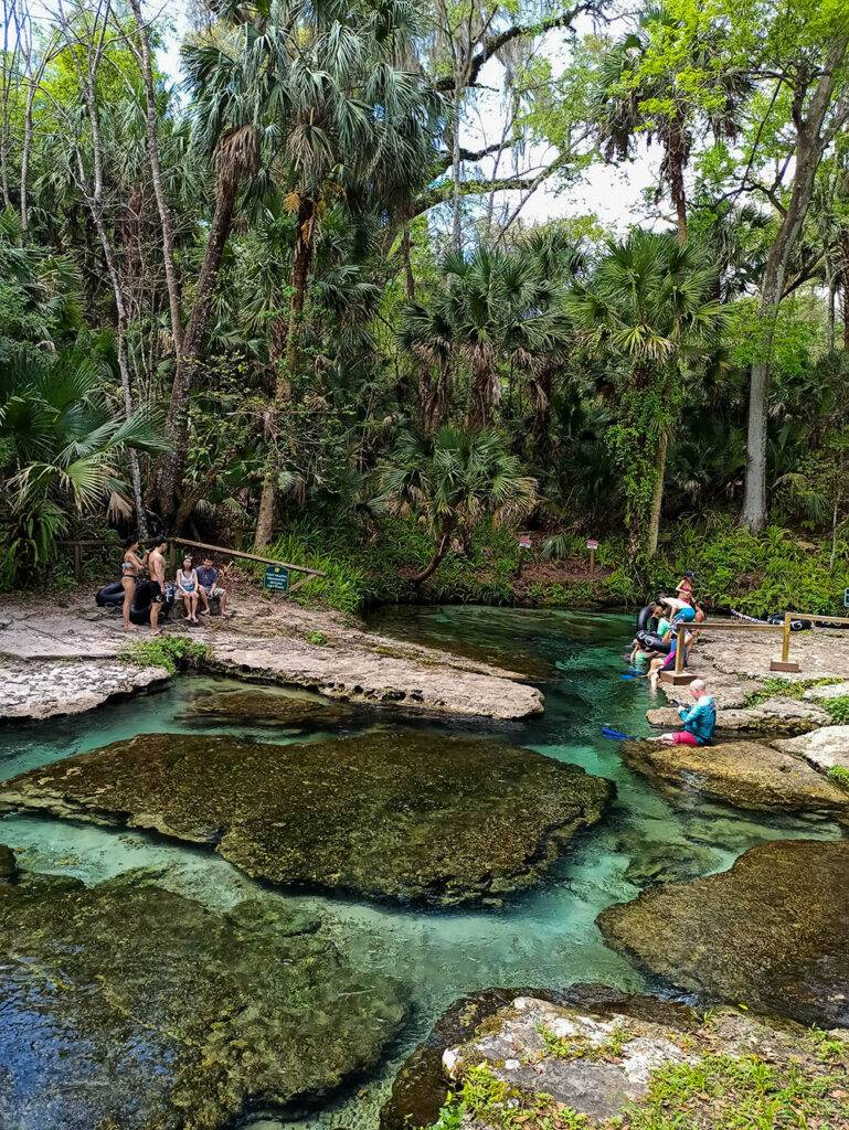 Floryda atrakcje turystyczne Silver Springs, źródła i wypożyczalnie kajaków.
