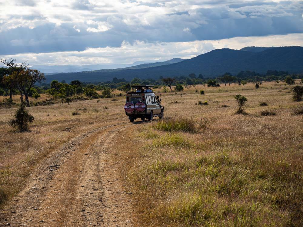 Transport na safari w Tanzanii