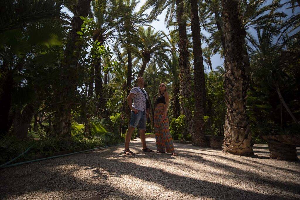 Hiszpania Costa Blanca atrakcje Gaj Palmowy Elche
