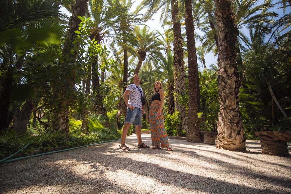 Gaj Palmowy w Elche to jedna z atrakcji Costa Blanca w Hiszpanii