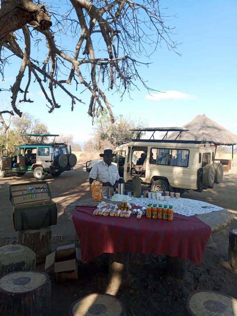 Jedzenie, lunch w dziczy na safari w Tanzanii