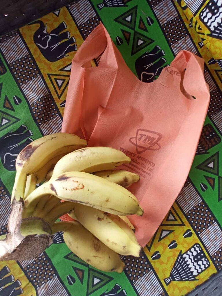 Na Zanzibarze nie używa się już plastikowych torebek jednorazowych.