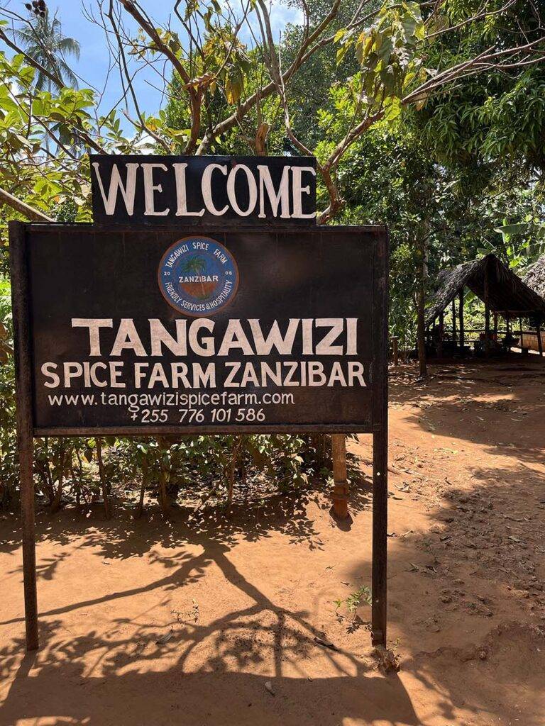 Atrakcje Zanzibaru farma przypraw blog podróżniczy