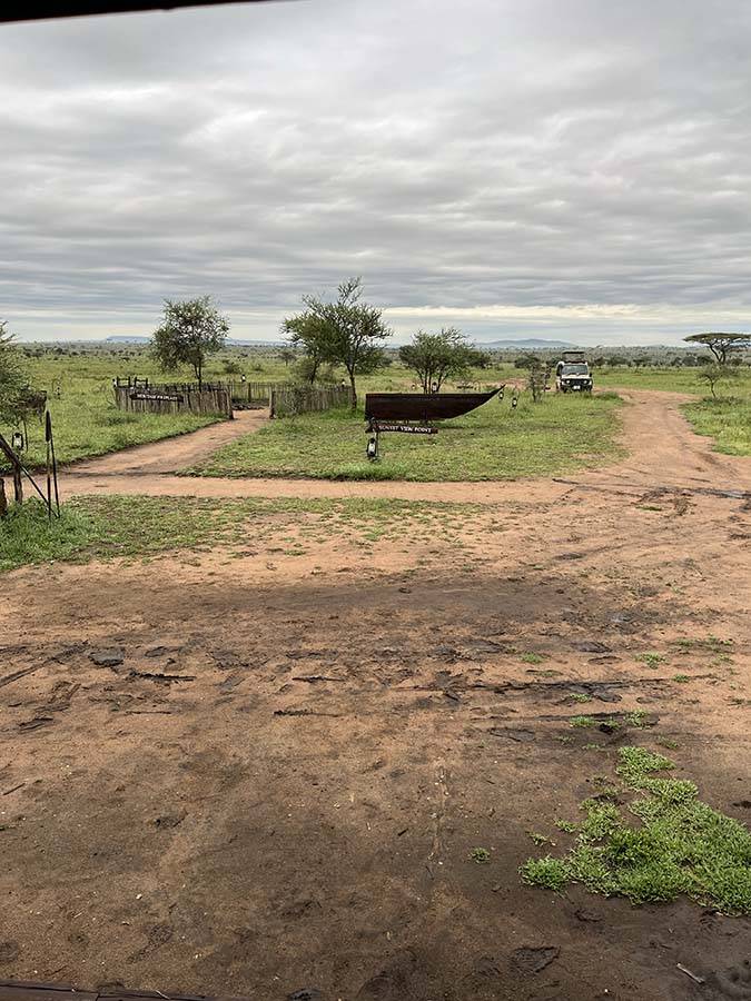 Serengeti podczas pory deszczowej
