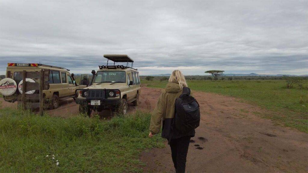 Jak zorganizować bezpieczne safari w Tanzanii w Afryce?