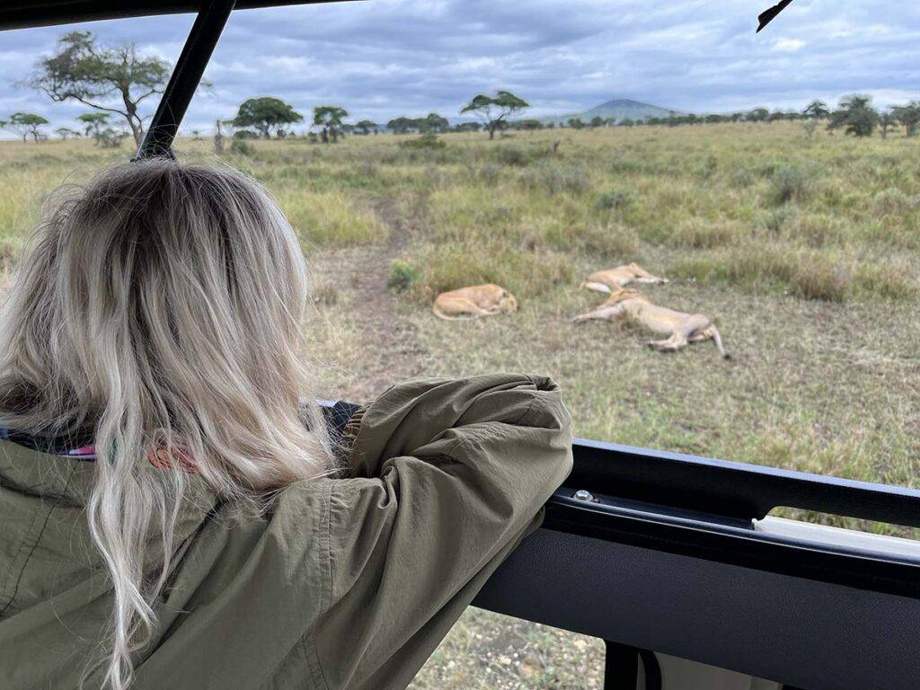 Lwy w paru Serengeti
