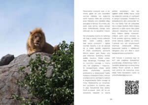 E-book Zanzibar i wycieczki lokalne poradnik