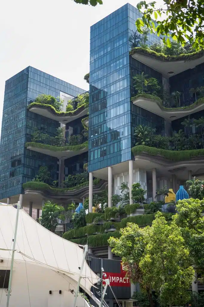 Zielona betonowa dżungla Singapur