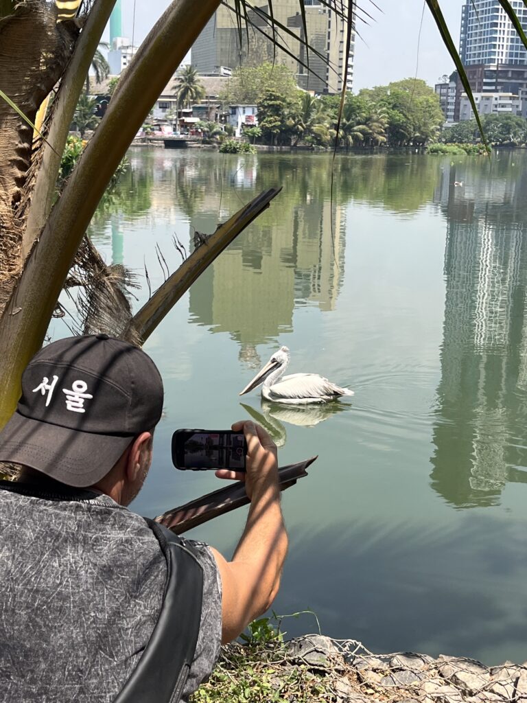 IMG 0220 Sri Lanka, zanim kupisz bilet, 19 rzeczy, które warto wiedzieć przed wyjazdem Kolombo Sri Lanka musisz to wiedzieć