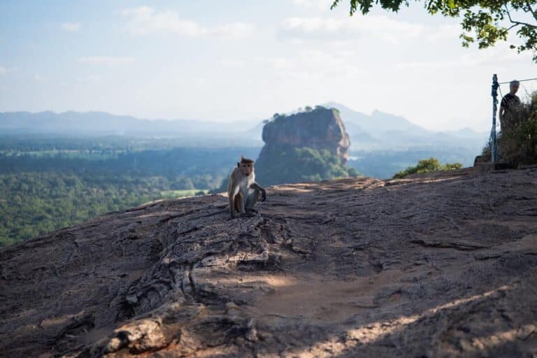 Sri Lanka 19 rzeczy przed podróżą